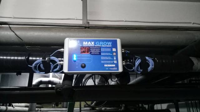 MAX GROW